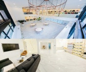 강아지분양 ‘펫제이’ 국내 VIP 애견 분양샵 오픈 50% 할인 이벤트