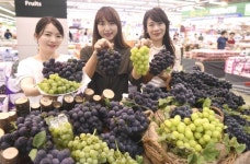 뜨거운 햇살 머금은 포도, 그래서 더 달아요~