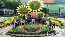 2018고양가을꽃축제_ 낭만 가을 여행… 가을에는 ‘고양!’