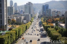 서초구, 네모 옷 입은 가로수 이색 볼거리