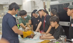 경기도, 연천에 경기북부 야생동물 구조관리센터 조성 추진