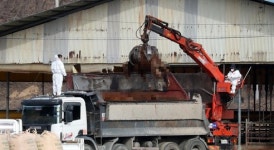 충주 구제역, 설 연휴 前 방역망 어쩌나..