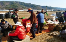 철원군 공무원, 영농철 못자리 일손돕기