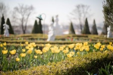 봄 가볼만한 곳 역시, 파주 퍼스트 가든