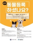 반려동물 등록 내장 칩 VS 외장형 장치 ‘장단점은?’