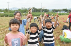 논산시, 제11회 상월명품고구마축제 개최