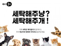 반려동물 보호자 대상 비대면 세탁소 ‘헤이울리’, 크라우드펀딩으로 INVESTOMER 모집