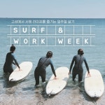 ‘낭만여행고성’,  서프롯지 SURF & WORK WEEK  여행상품 오픈!
