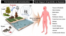 강성민 상명대학교수, 인하대-국립축산과학원 연구팀과 ‘잔류농약 검출용 비색센서 기술’ 개발