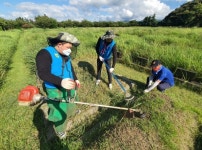 농협, 추석 앞두고 산소 벌초대행 서비스 운영