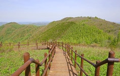 꽃길만 걷게 해줄게요~ 금대봉 천상의 화원