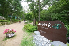 아홉산숲과 부산치유의숲 치유와 힐링을 즐기다