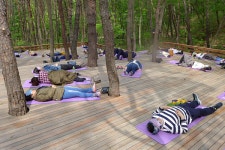 아홉산숲과 부산치유의숲 치유와 힐링을 즐기다