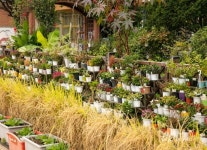 우리 아파트 정원 뽐내봐요…푸른도시 서울상 공모