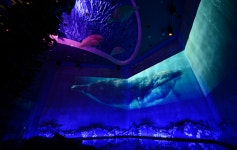 지구 생물 80%는 바다에 산다···서천 국립해양생물자원관