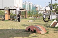 반려견도 보호자도 행복한 주말 나들이, 오산반려동물테마파크