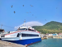 상록수림 울창한 둘레길 산책, 보령 외연도