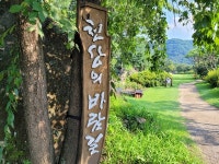 바람보다 앞서가지 마세요···옥천 수생식물학습원(천상의 정원)