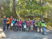 남해 편백나무 숲 속에서 보낸 치유의 시간