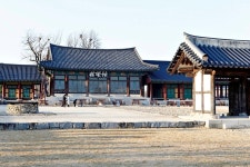 영산강에 샛노란 봄이 오나봄···나주 영산강둔치체육공원