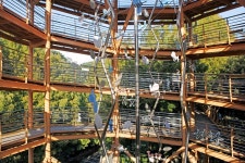 발끝에 흩어진, 가을이었다···대전 장태산자연휴양림