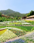 한의학의 성지 산청 동의보감촌으로 떠난 면역력 충전 여행