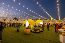 바다와 유자향이 머무는 곳 고흥스테이