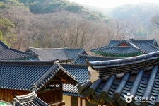 천년 사찰 공주 마곡사