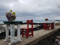 [제주놀멍] 비 오는 날 풍미를 더하는 세화해변(구좌편)