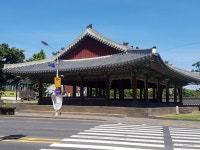 [제주놀멍] 효리네민박 이효리 제주 투어 따라잡기(구제주편)