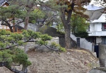 [서울 골목길 산책] 안평대군의 집터, 윤웅렬 별장, 석파정을 따라가는 부암동 골목길