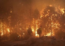 [5~11일 영화] 소재의 발견..온리 더 브레이브, 툼 레이더, 아이 토냐 외