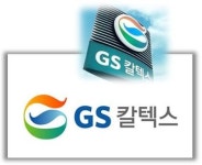 실종된 GS칼텍스 해외판권 가로채기..여자 향응접대까지 주장글 사라져