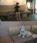 동물농장 대금 반주에 노래하는 개(犬) 명창의 등장 눈물 날 듯
