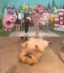 동물농장 누워서 멍 때리는 게 취미인 오쏠이..신동엽 함께 눕방하고파