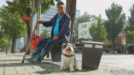 동물농장 할아버지와 효자개 아롱이..삶 되찾아준 산책의 감동