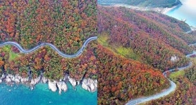 [주말 가볼만한 곳] 남해 물미해안도로, 단풍숲 사이로 굽이굽이 절경