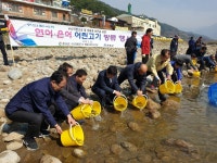 연어,은어 어린고기 등 1,035만 마리 방류..경남도,하동군 화개면 화개천에서 행사