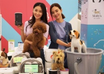 직접 써보고 구매하세요..몰리스펫샵, 펫가전 체험 매장 오픈