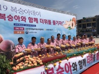 복숭아데이를 아시나요..농협, 3일 대천해수욕장서 소비촉진 행사