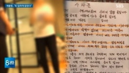 용인 폭스테리어  개물림 사고, 견주에 500만원 벌금형..과거 안락사 논쟁 촉발