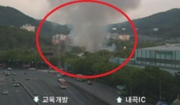 서울 서초구 신원동 화훼단지 비닐하우스서 화재, 확인된 인명피해無..30분만에 큰불진화