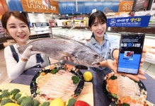 갓 잡은 회를 배달수수료 없이 안방까지..홈플러스, 회 배달 서비스 론칭