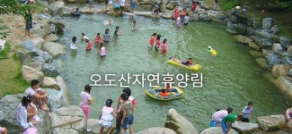합천오도산자연휴양림, 갑이삽시다 멤버 여행지..코로나로 임시 휴장 중