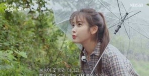 청수곶자왈, 65만 평 광활한 제주 생태계..아이유 힐링은 확실히 멈춰야 하는 것