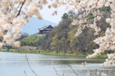 밀양아리랑 둘레길서 힐링하세요..코로나에 지친 시민들 발길 이어져