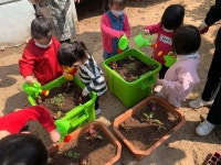부평구 어린이급식관리지원센터, 채소와 친해지는 싱싱텃밭 가꾸기’ 교육
