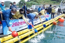 횟감의 황제 돌돔, 통영바다목장에 방류..돌돔 종자 14만마리 방류돼