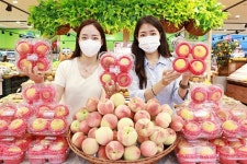 롯데마트, 여름 복숭아 일찍 선보인다..올해 수확 하우스 복숭아 판매