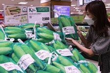 새벽에 딴 옥수수, 오후에 바로 만난다..롯데마트 ‘괴산 대학 찰옥수수’ 직배송 판매